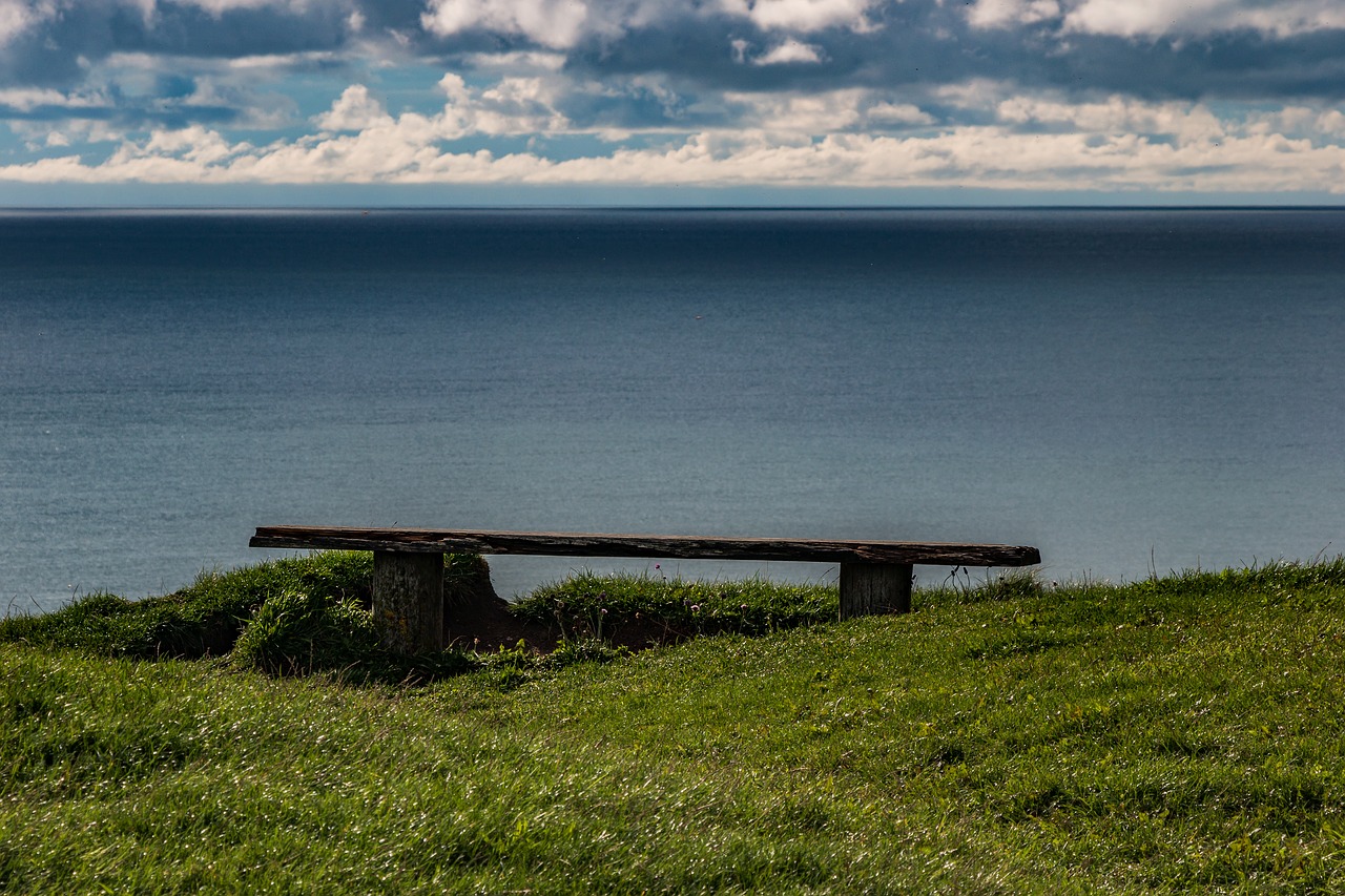 coast  cliff  sea free photo