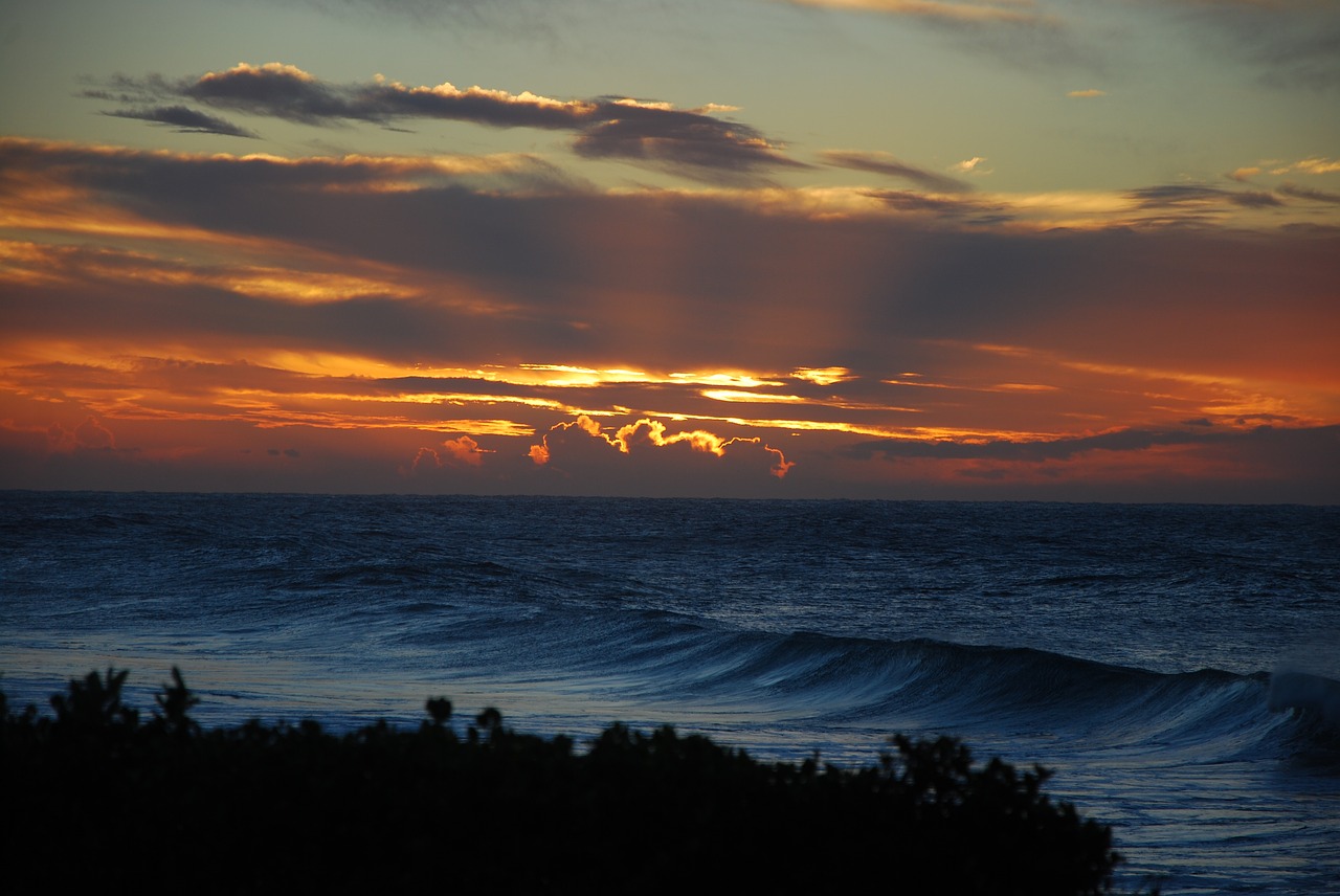 coast  south africa  beach free photo