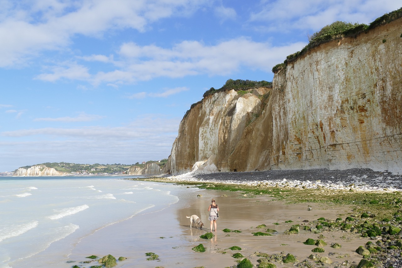 coast  rocky coast  sea free photo