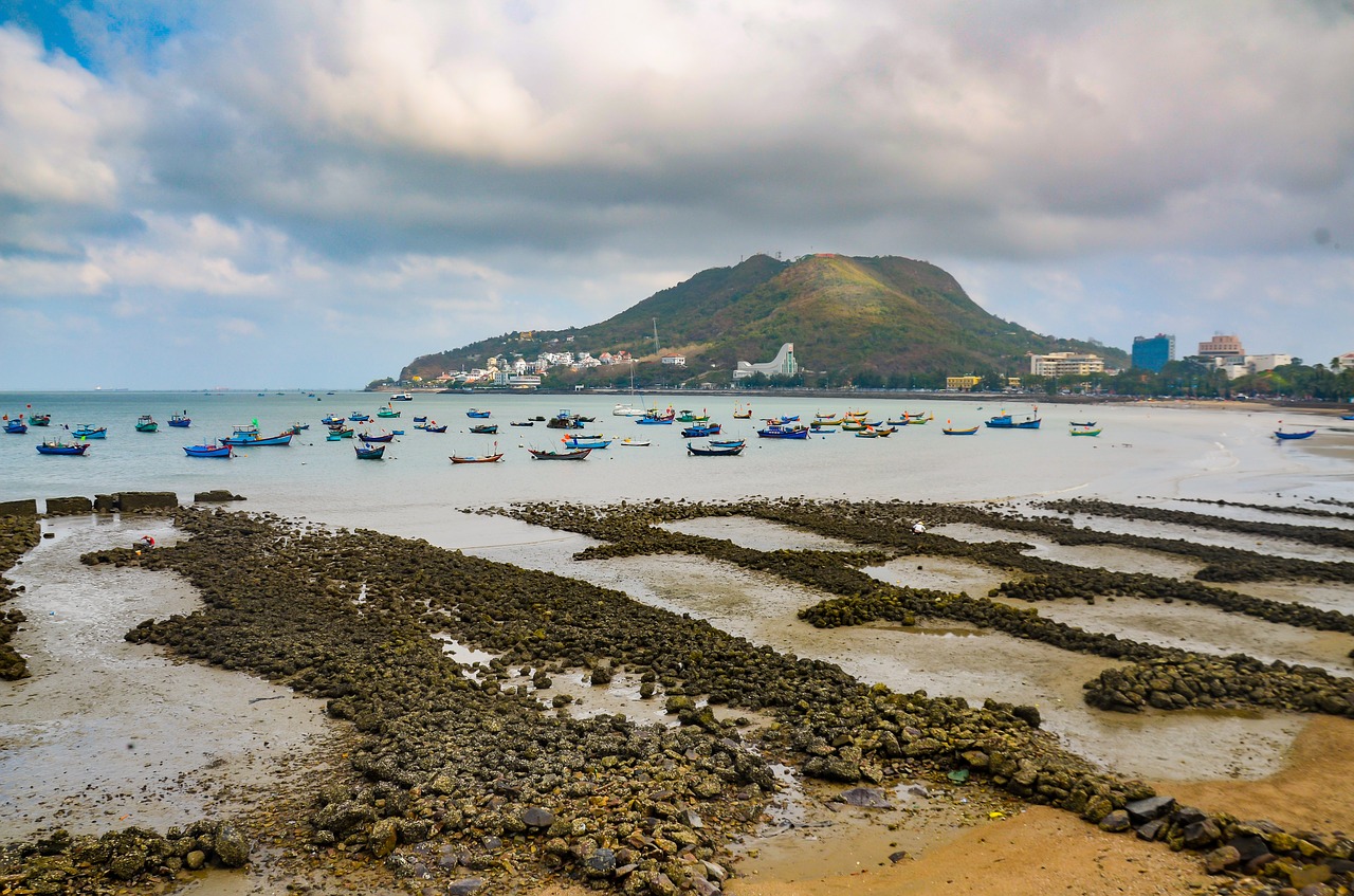 coast  scenery  the sea free photo