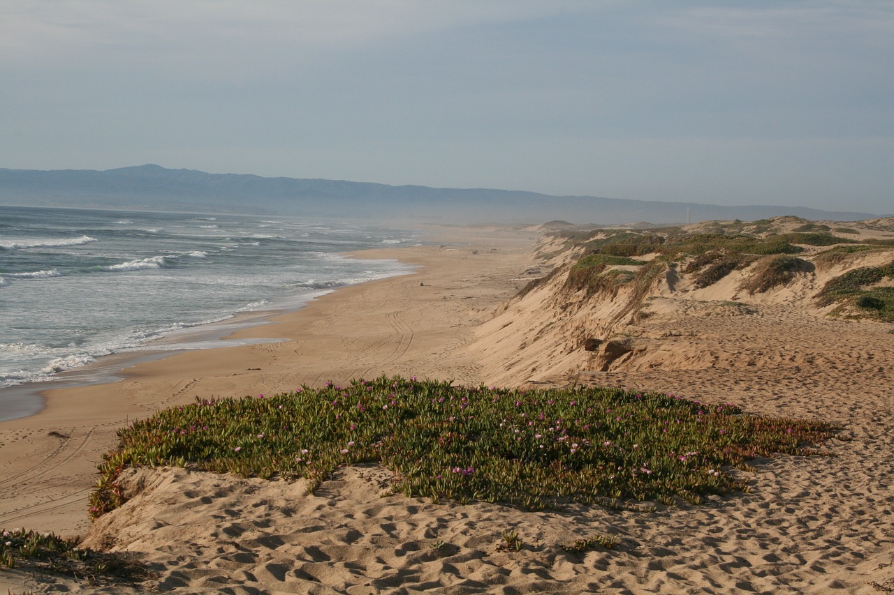 coast  beach  sand free photo