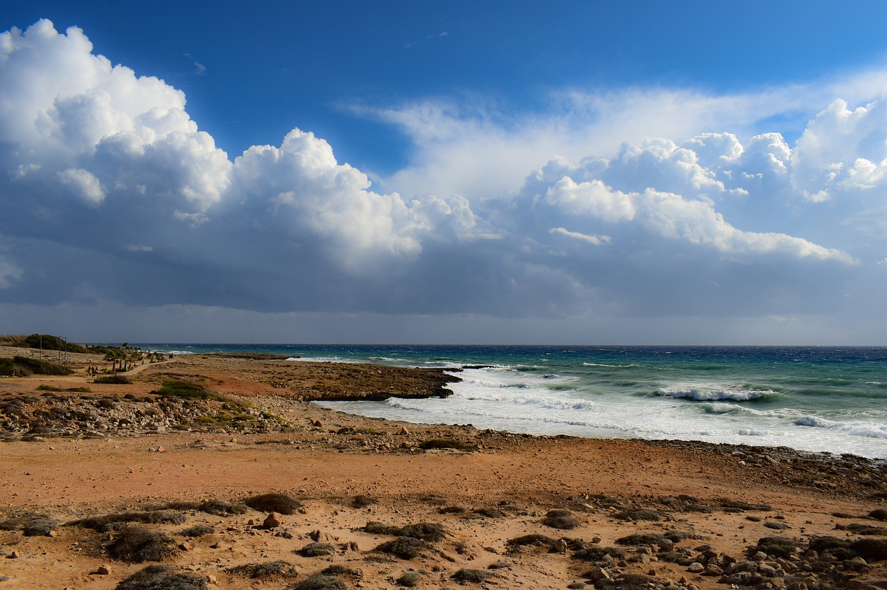 coast  landscape  sea free photo