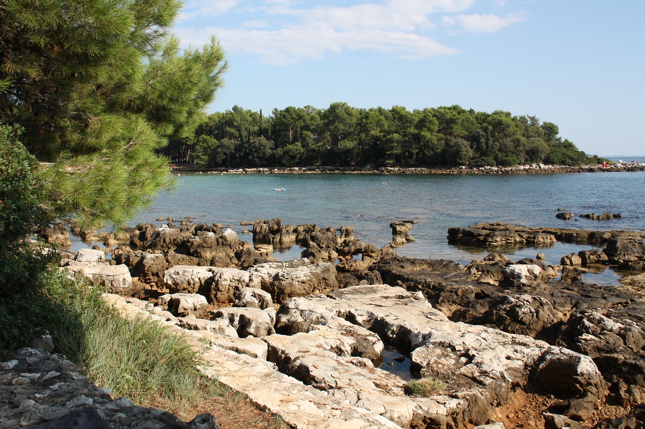 coast  sea  beach free photo