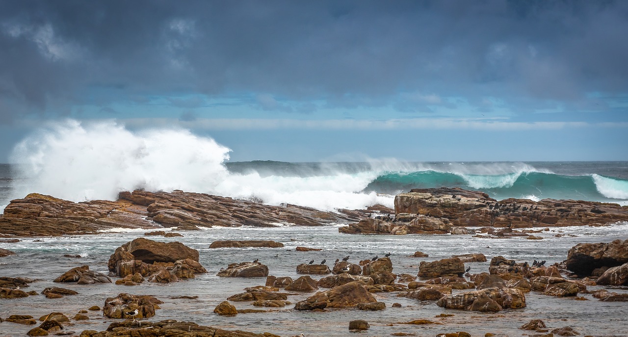coast  surf  south africa free photo