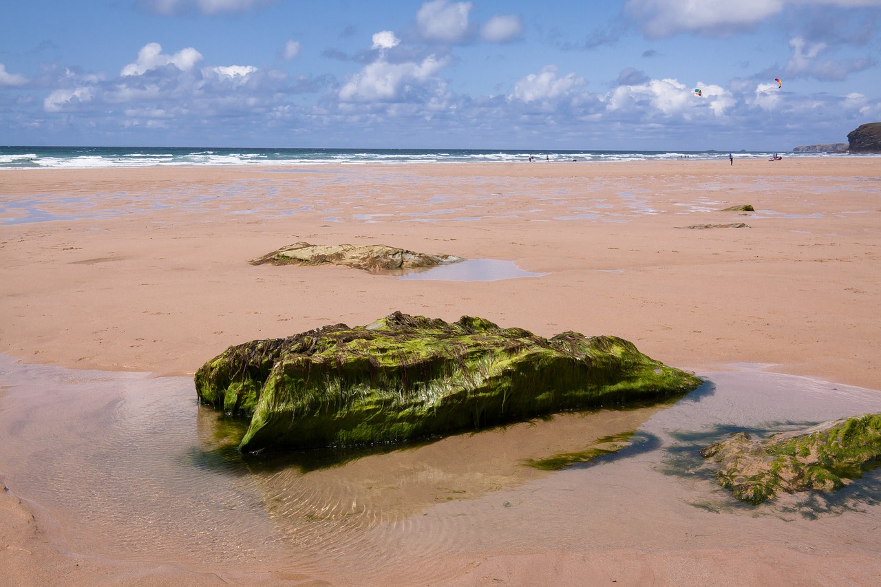 coast beach stones free photo