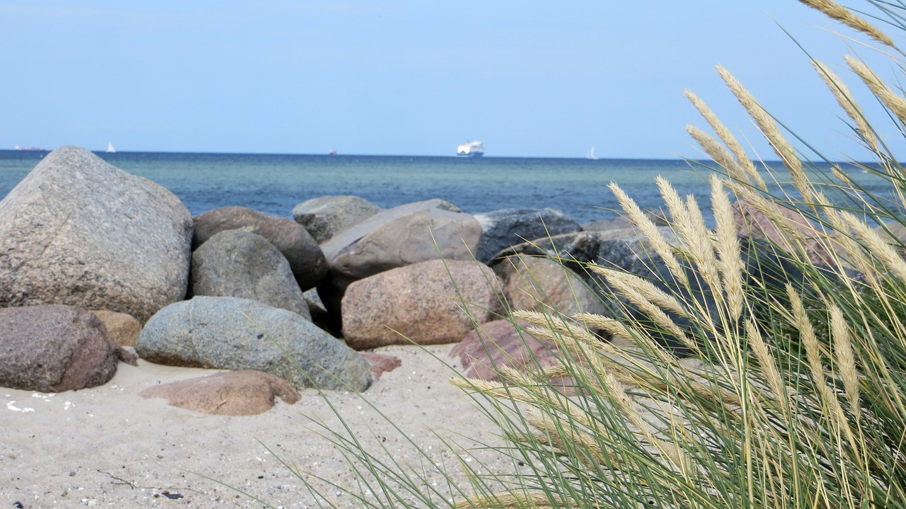 coast beach baltic sea free photo