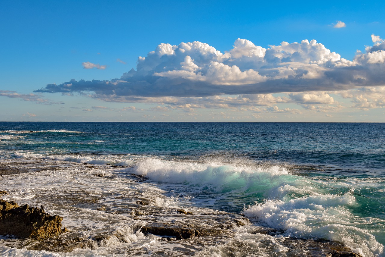 coast  wave  sky free photo