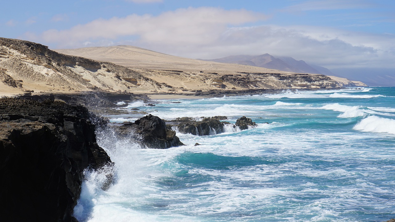 coast  sea  ocean free photo