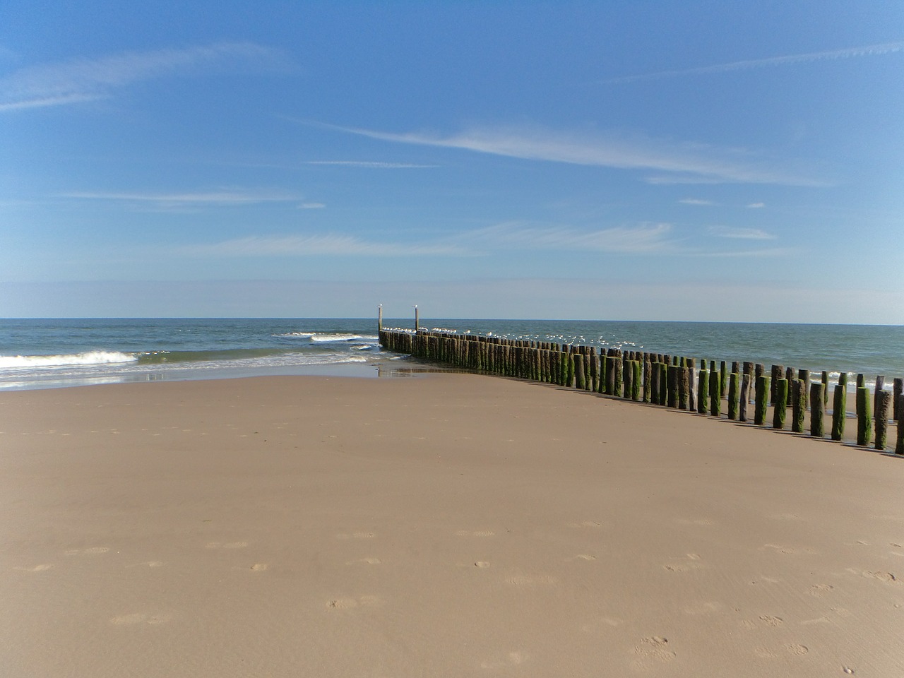 coast sea beach free photo