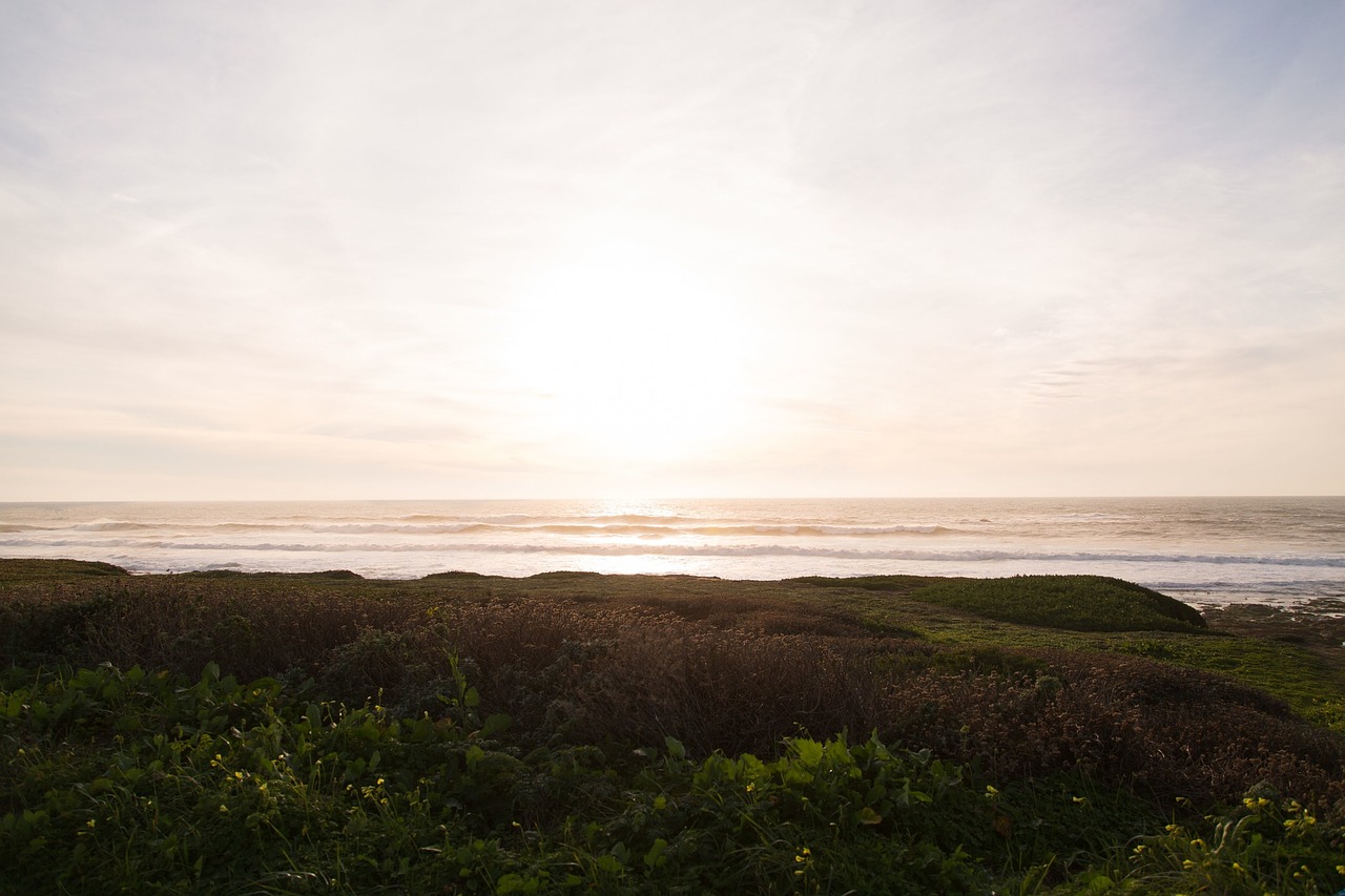 coast beach green free photo