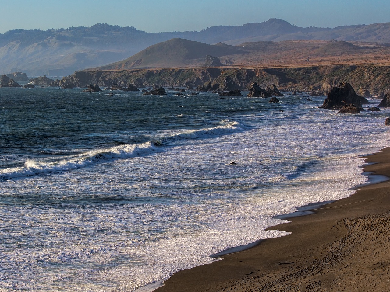 coast beach shore free photo