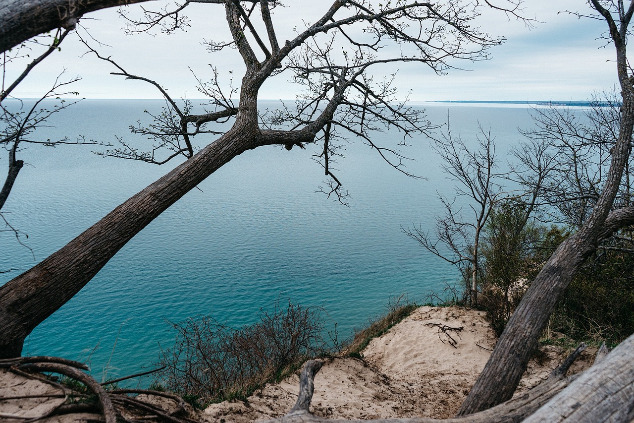 coast shore cliff free photo