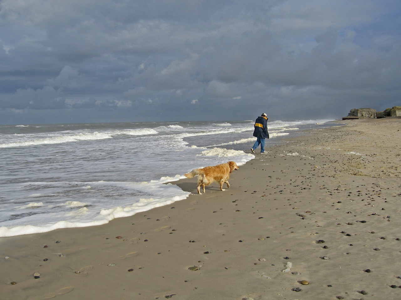 coast north sea beach free photo