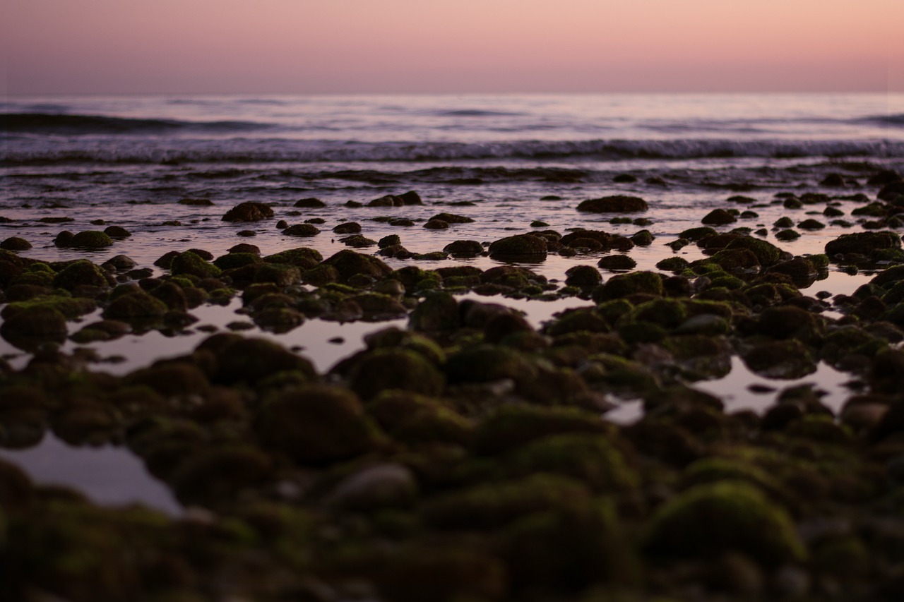 coast stones pebbles free photo