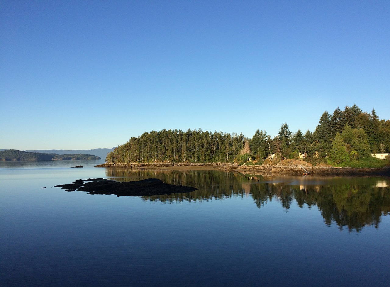 coastal pacific sea free photo