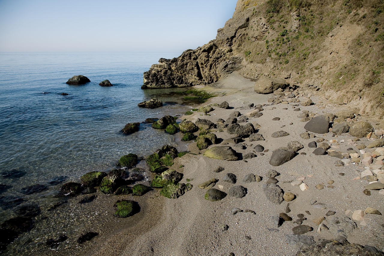 coastal beach landscape free photo