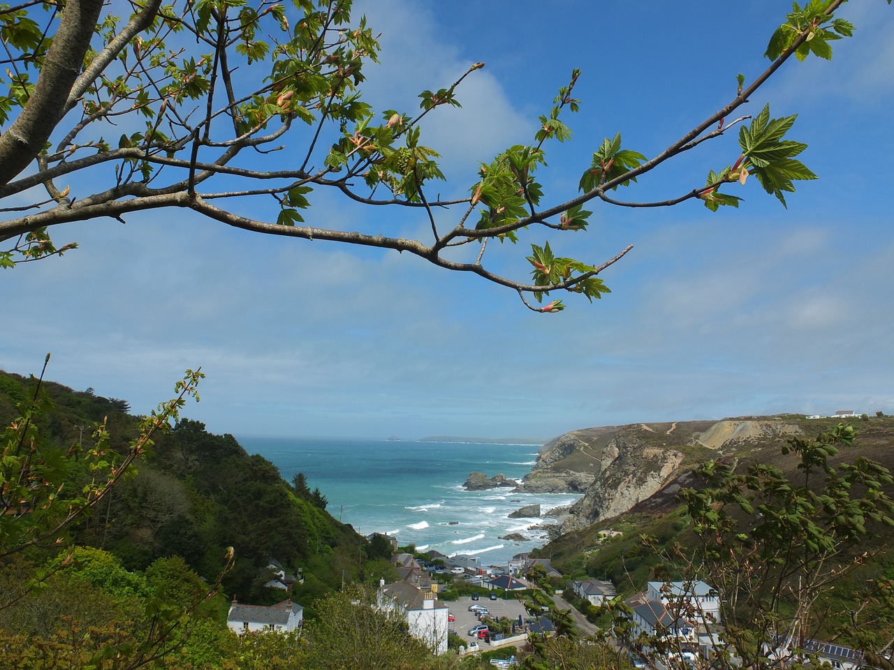 coastal scene beach free photo