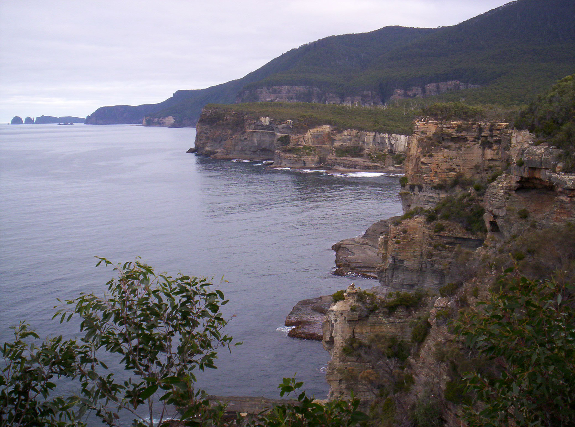 cliffs ocean sea free photo