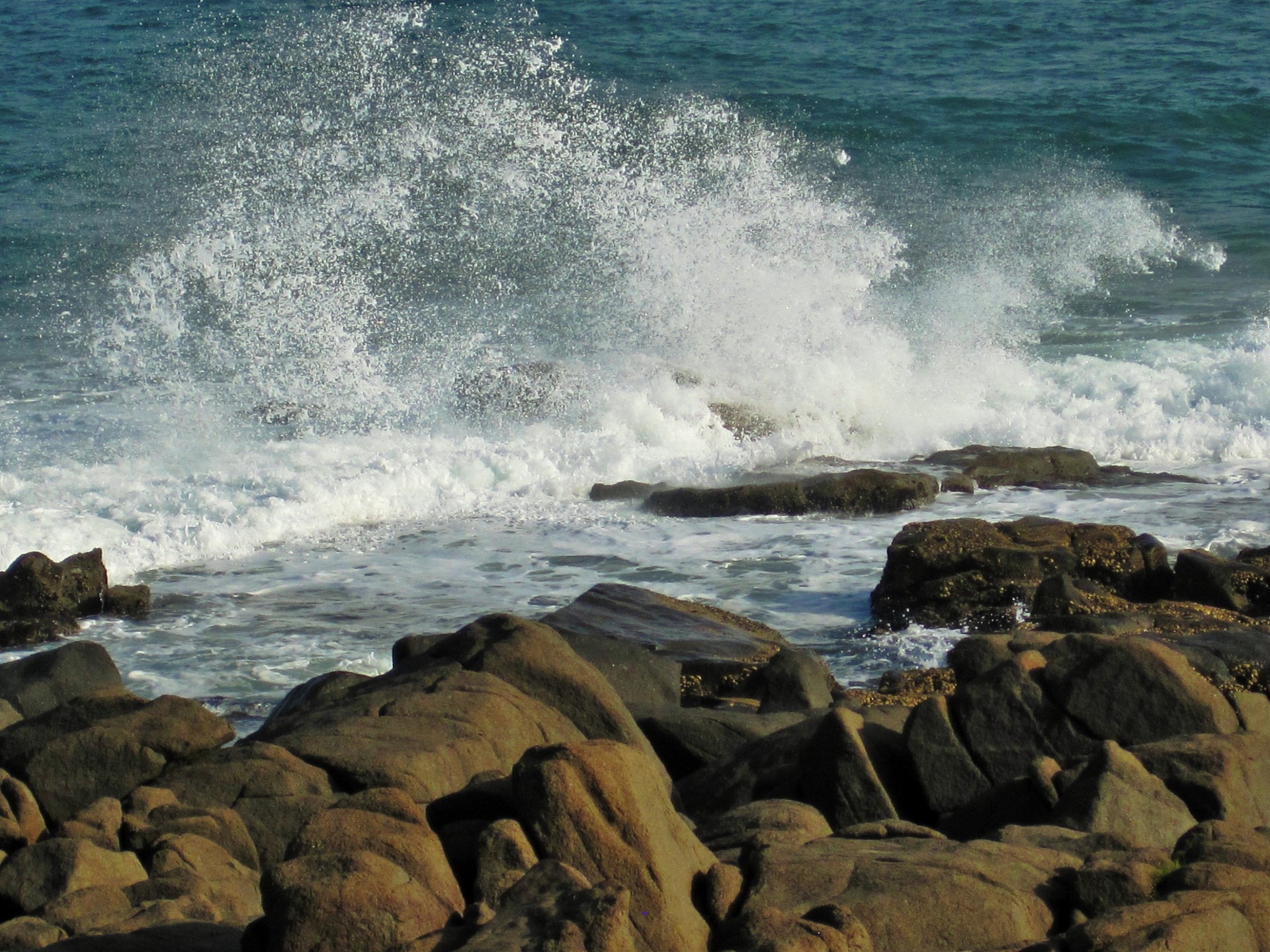 coast sea ocean free photo