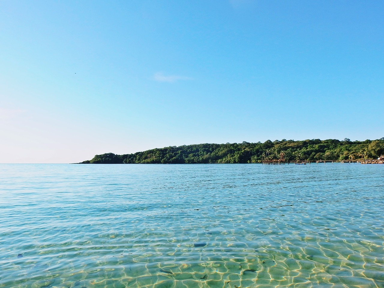 coastline ocean sea free photo