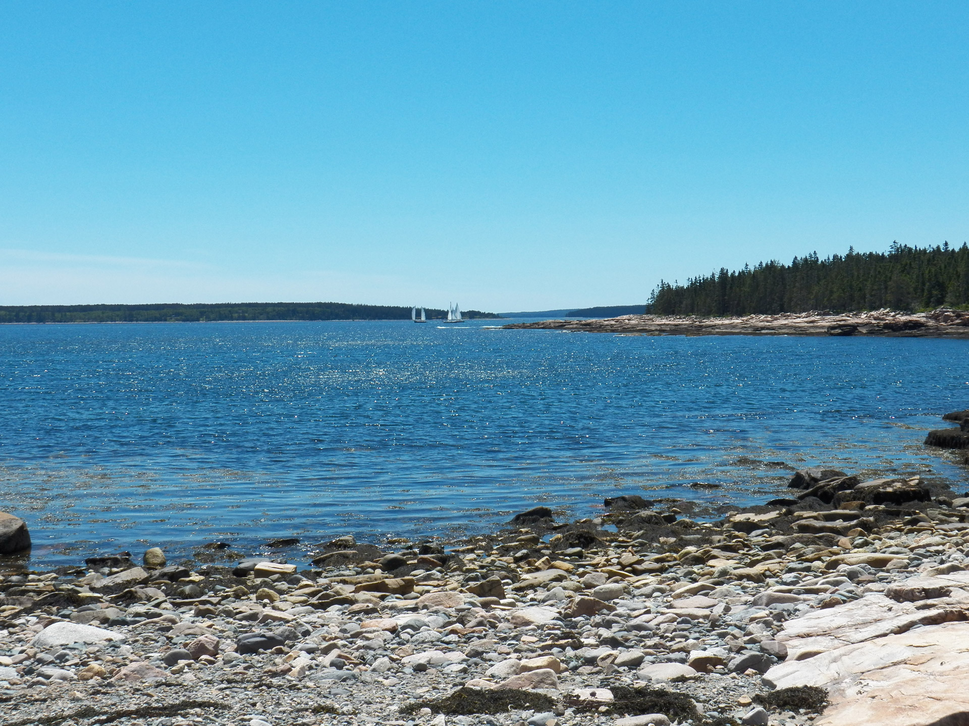 coast coastline seawall free photo