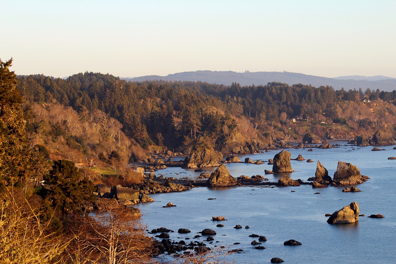 coastline ocean rocky free photo