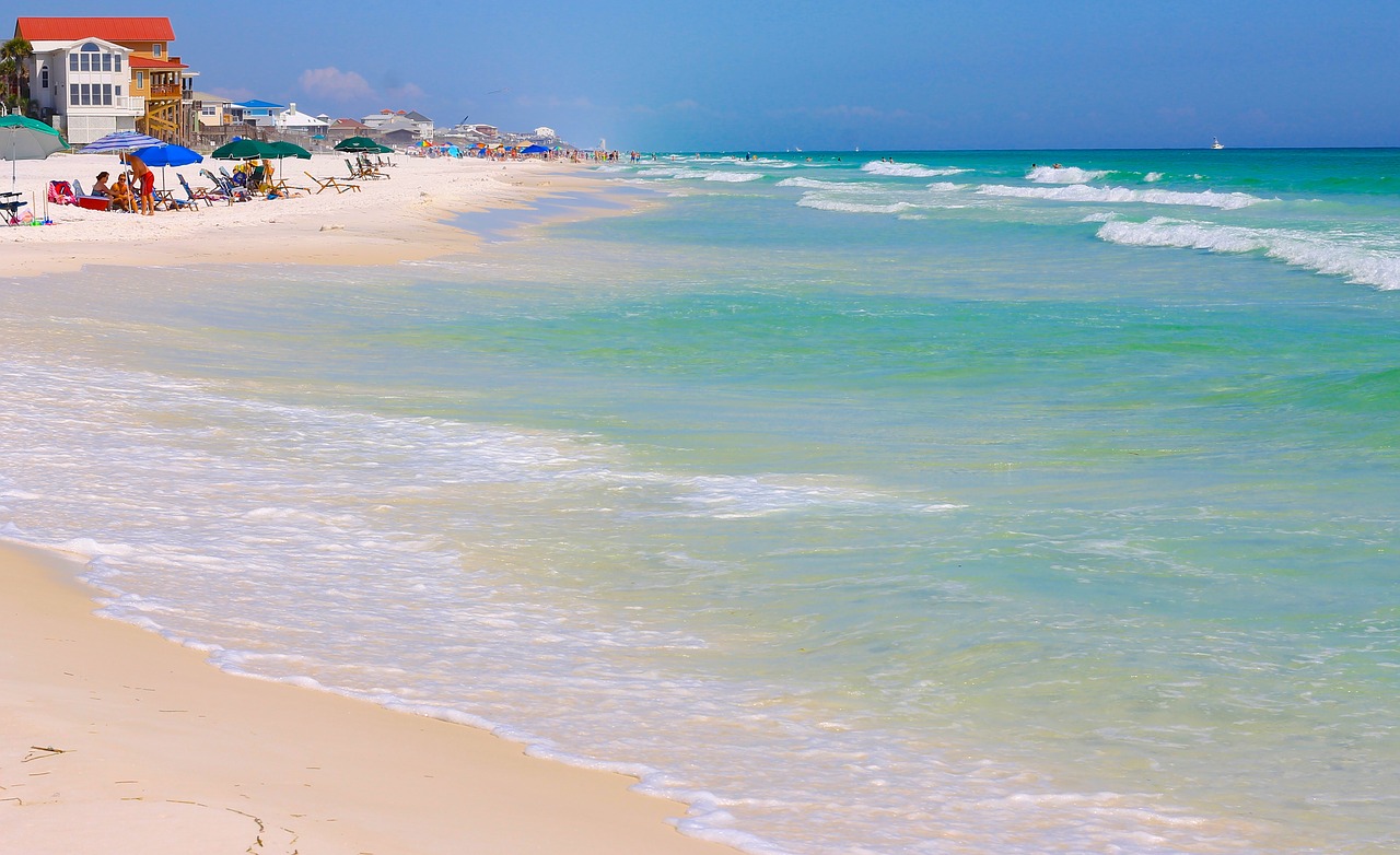 coastline beach tropical free photo