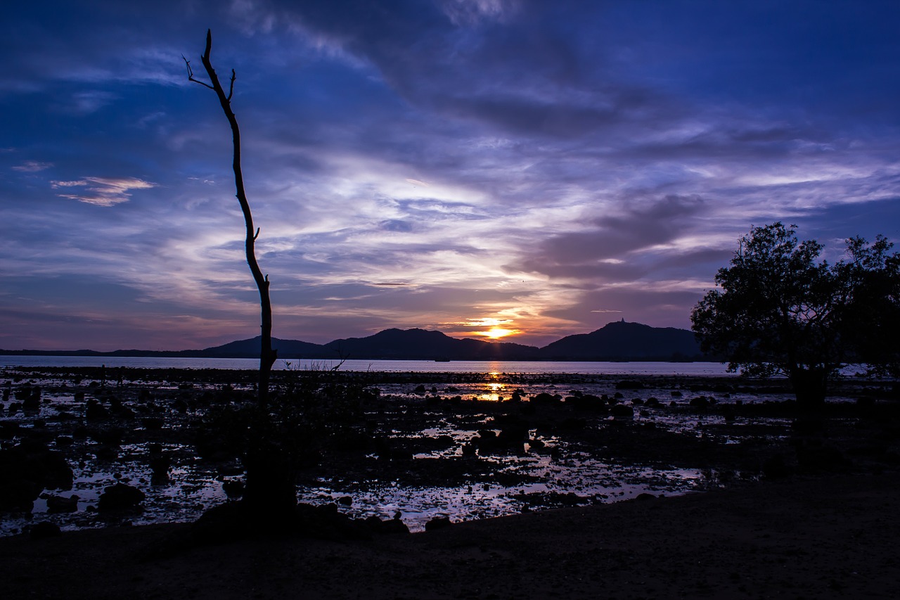 coastline twilight dusk free photo