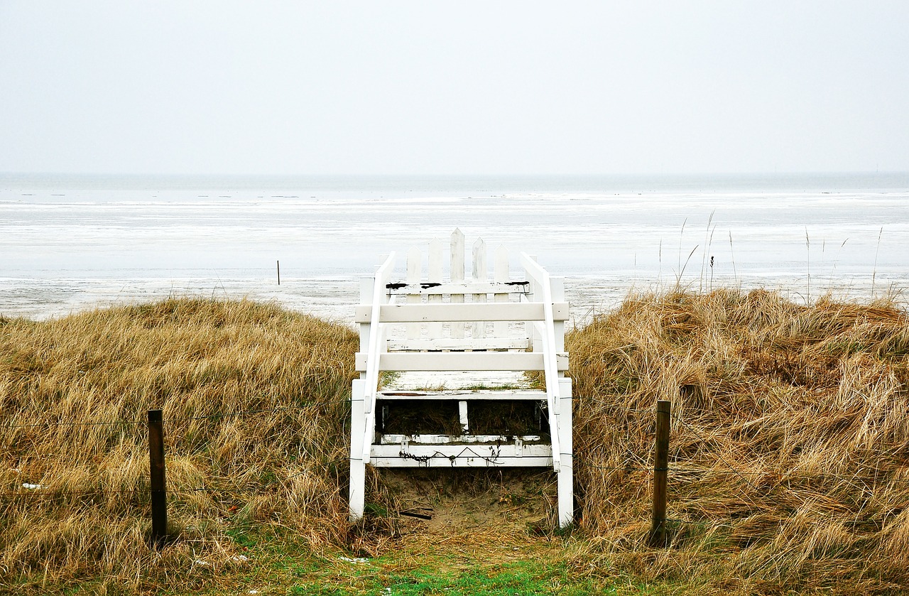 coastline coast ocean free photo