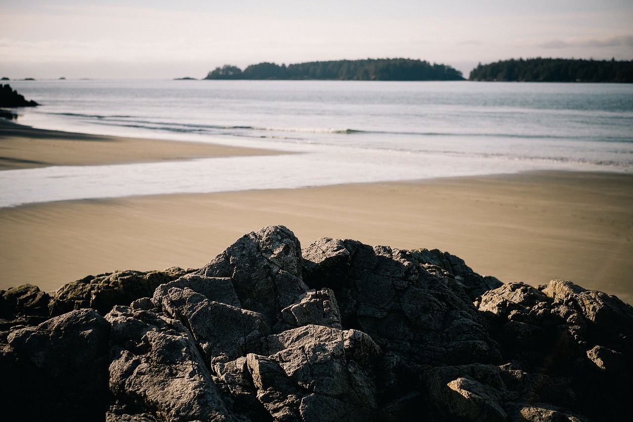 coastline coast shore free photo