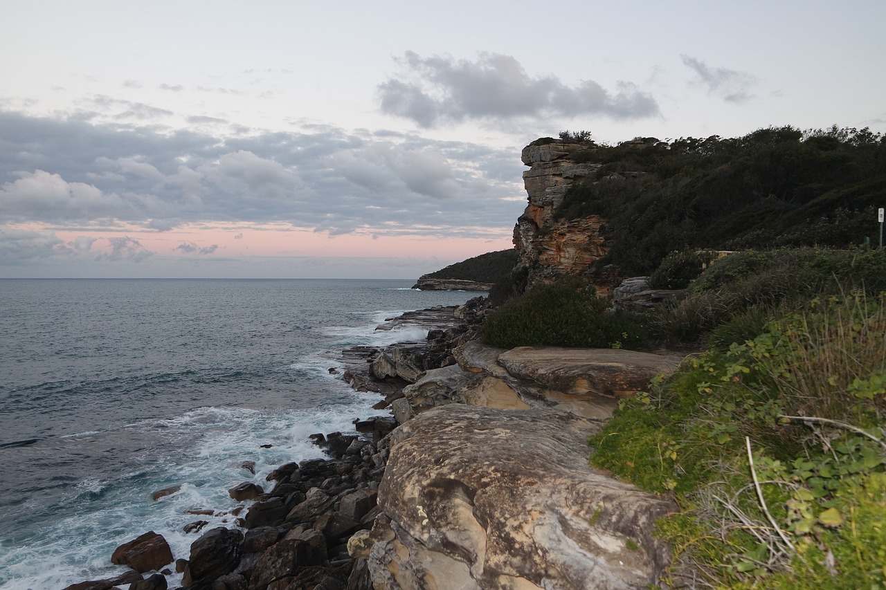 coastline  sydney  australia free photo