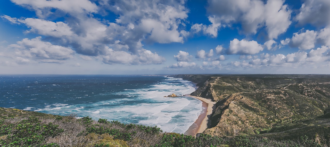 coastline  beach  ocean free photo