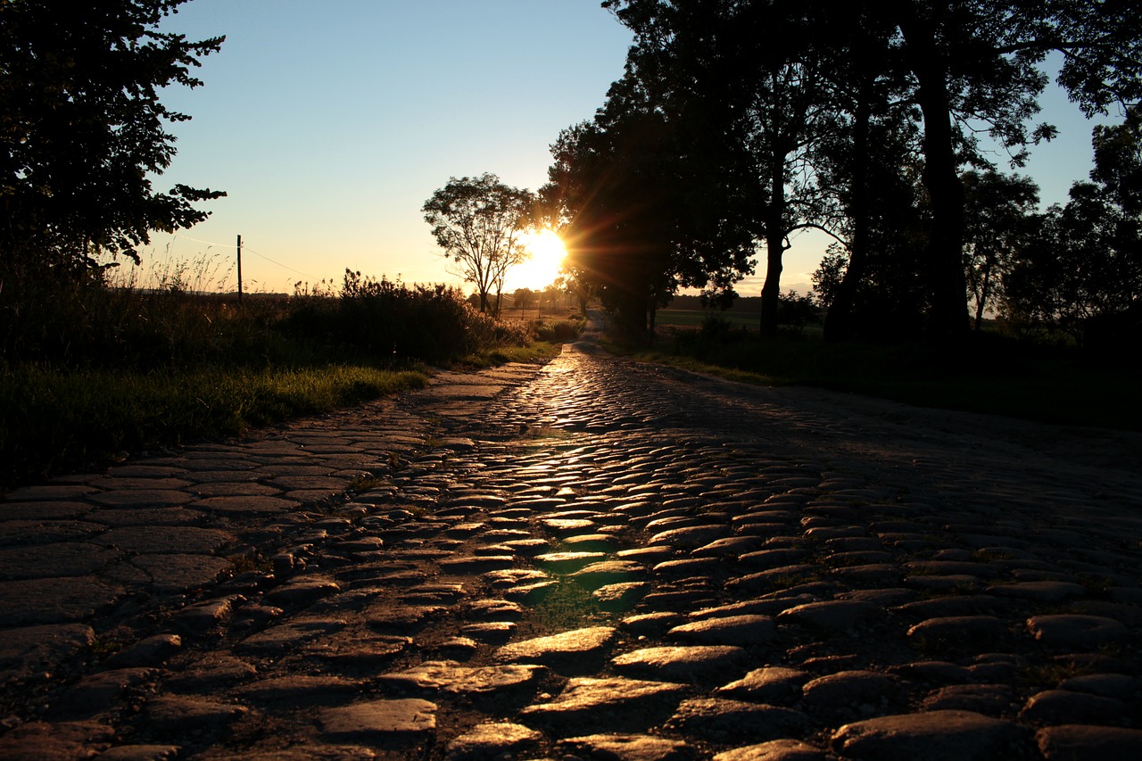 cobble stone road summer free photo