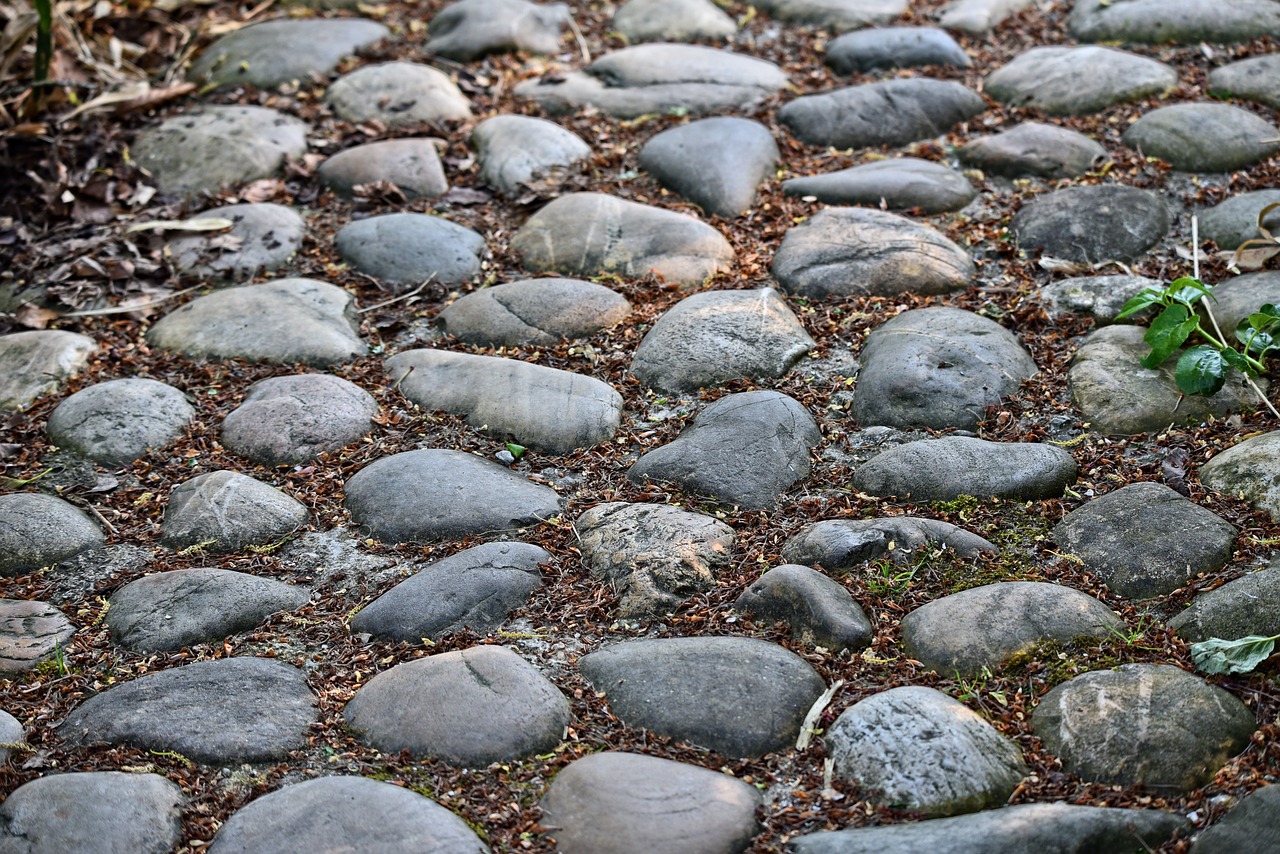 cobble stones  cobbles  stone free photo