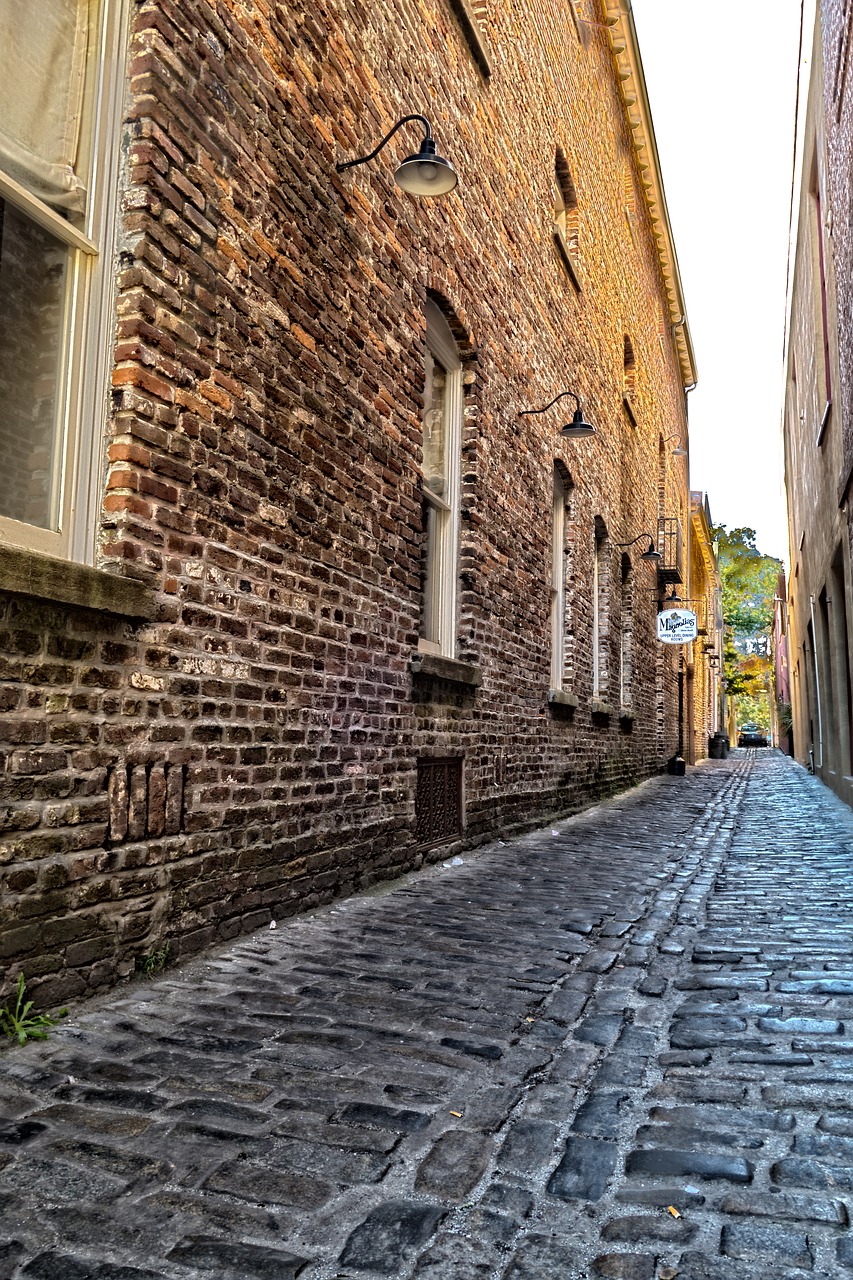 cobblestone charleston south carolina free photo