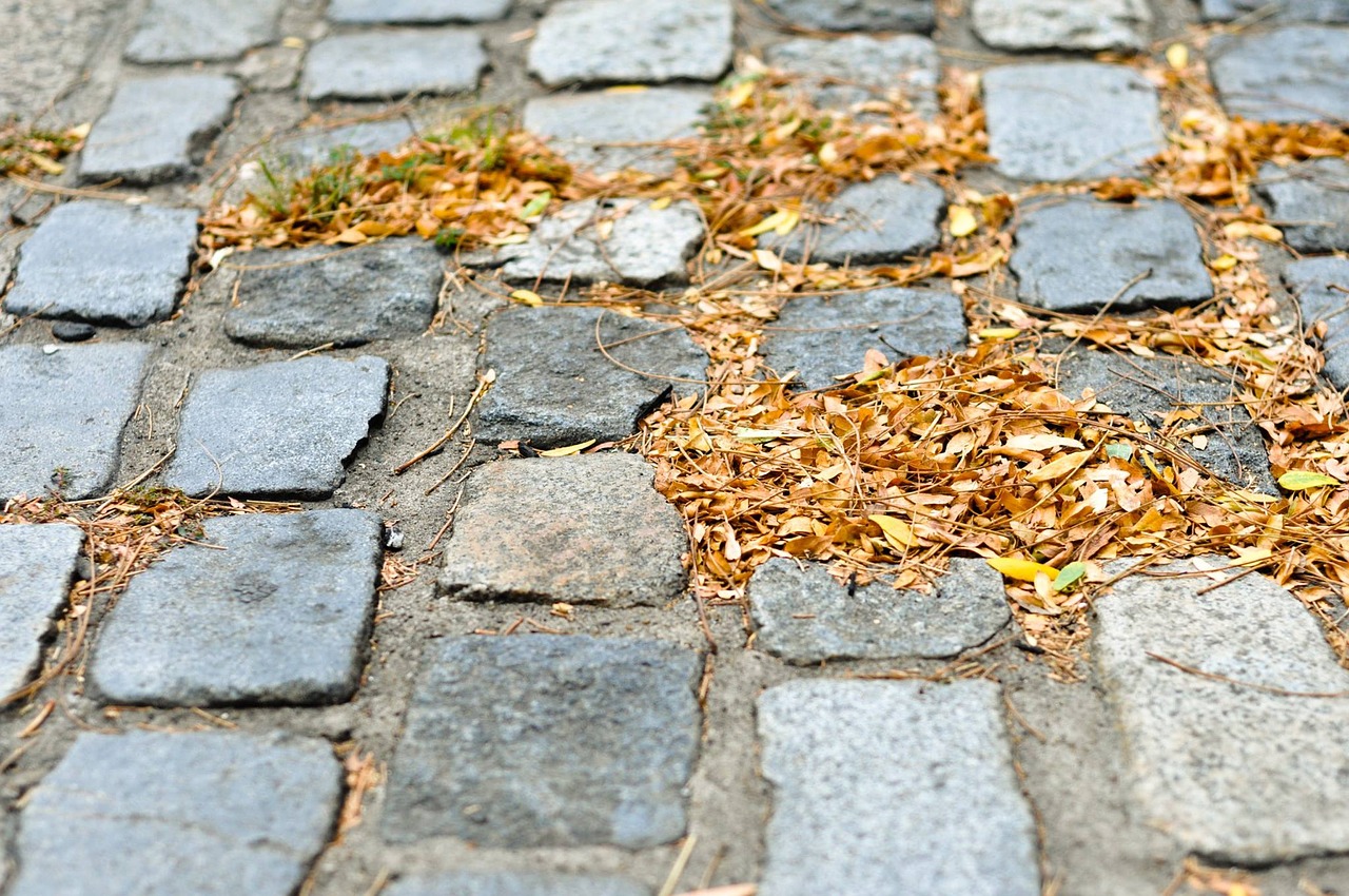 cobblestone fall autumn free photo