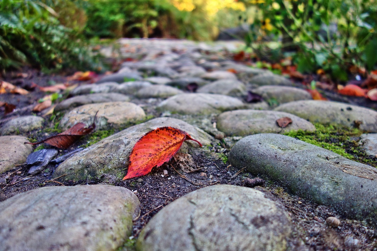 Leaf stone hgss