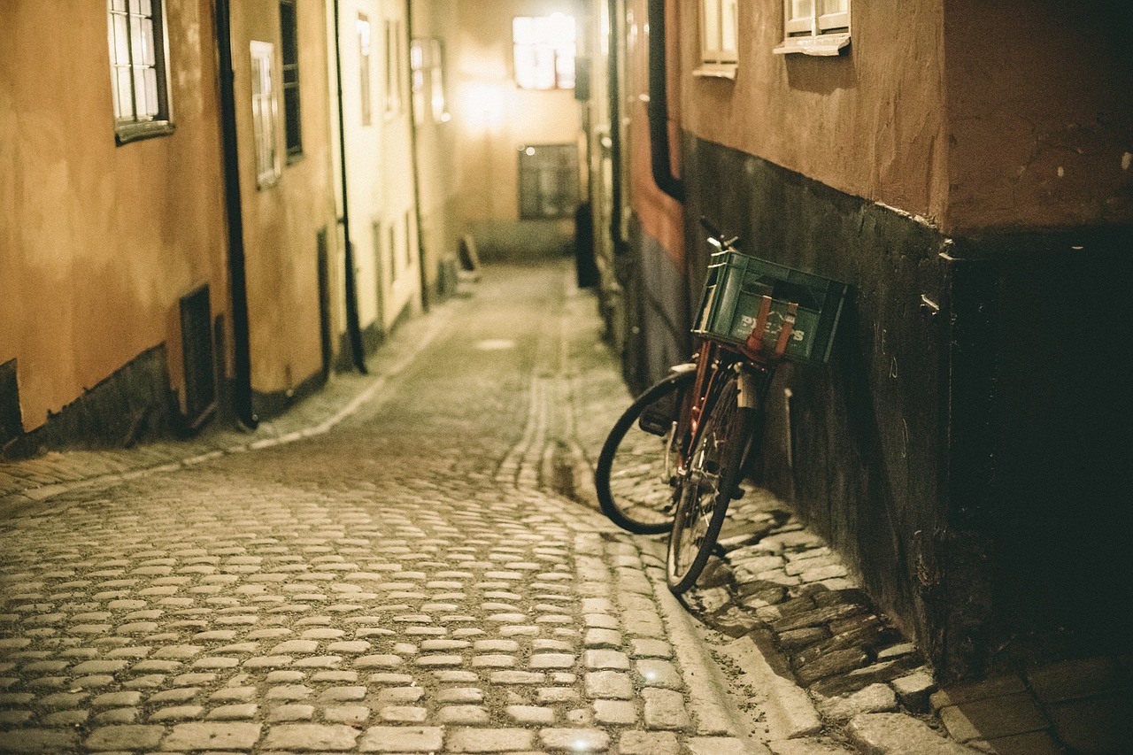 cobblestone bike bicycle free photo