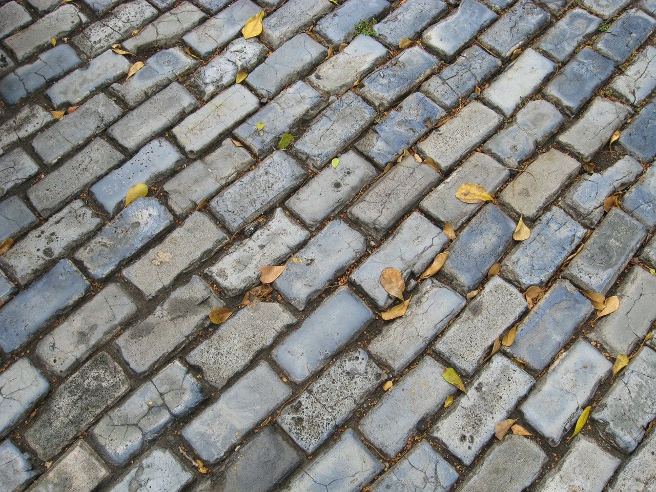 cobblestone street san free photo