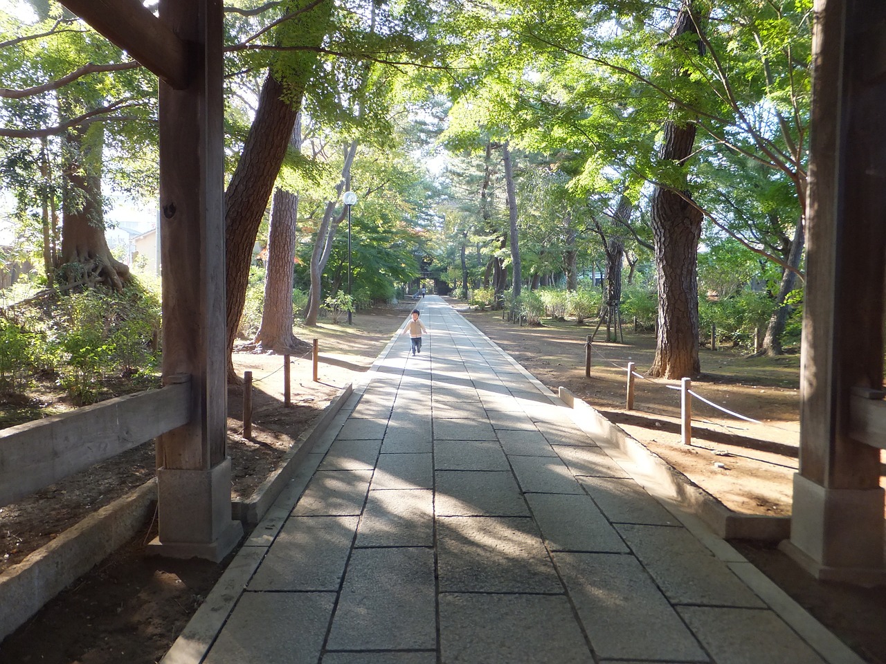 cobblestone wood road free photo