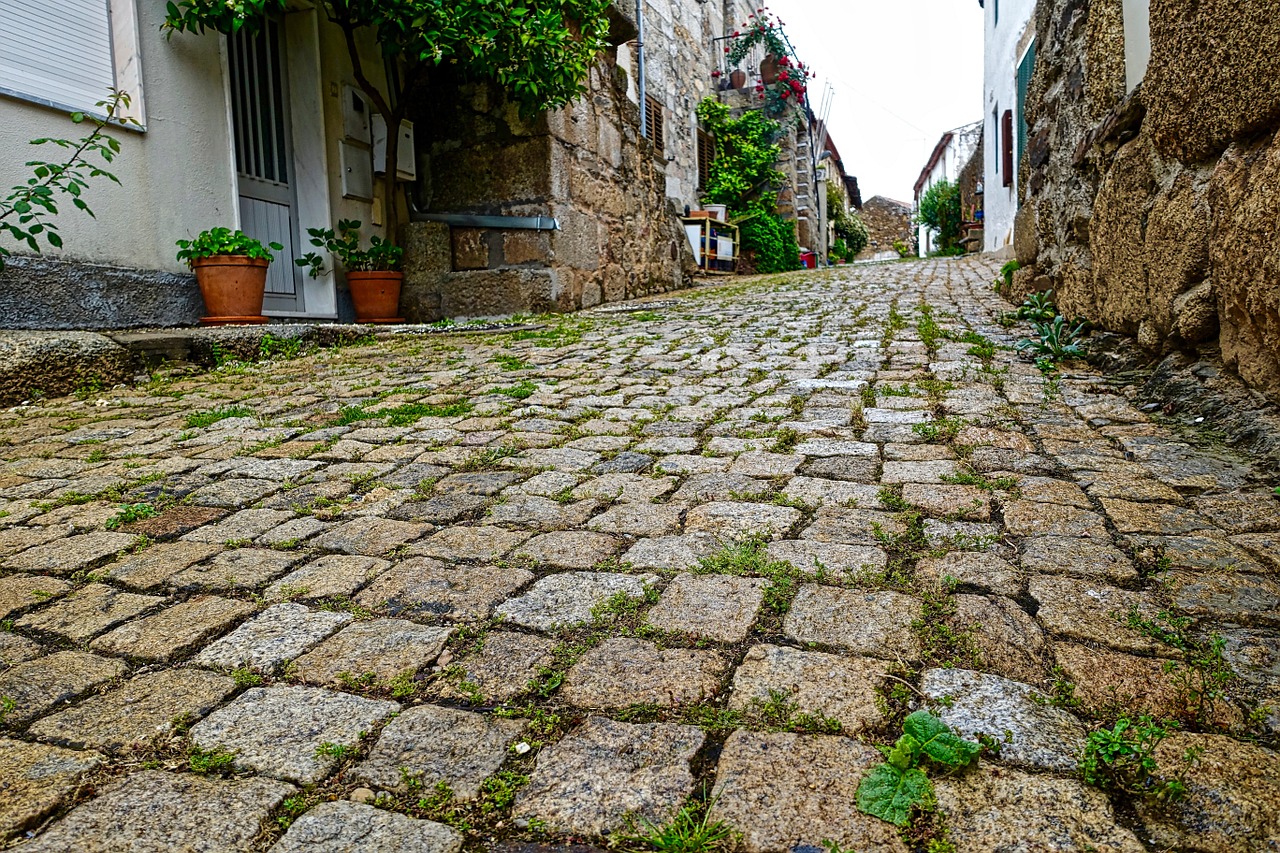 cobblestones street pavement free photo