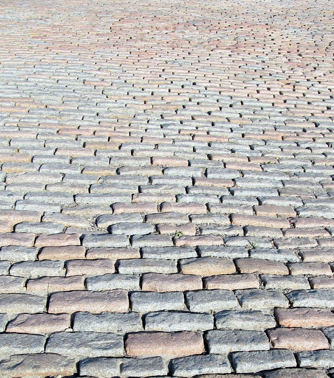 cobblestones pavement walkway free photo