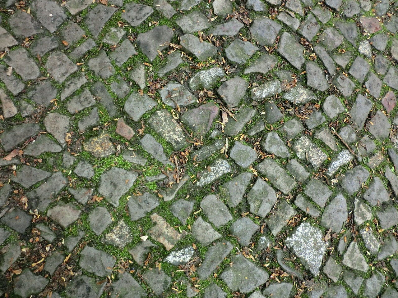 cobblestones ground stones free photo