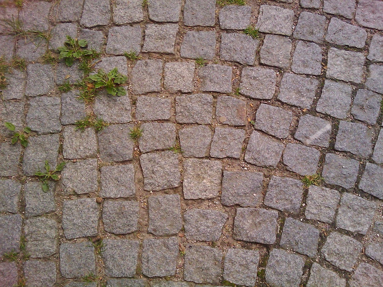 cobblestones away road free photo