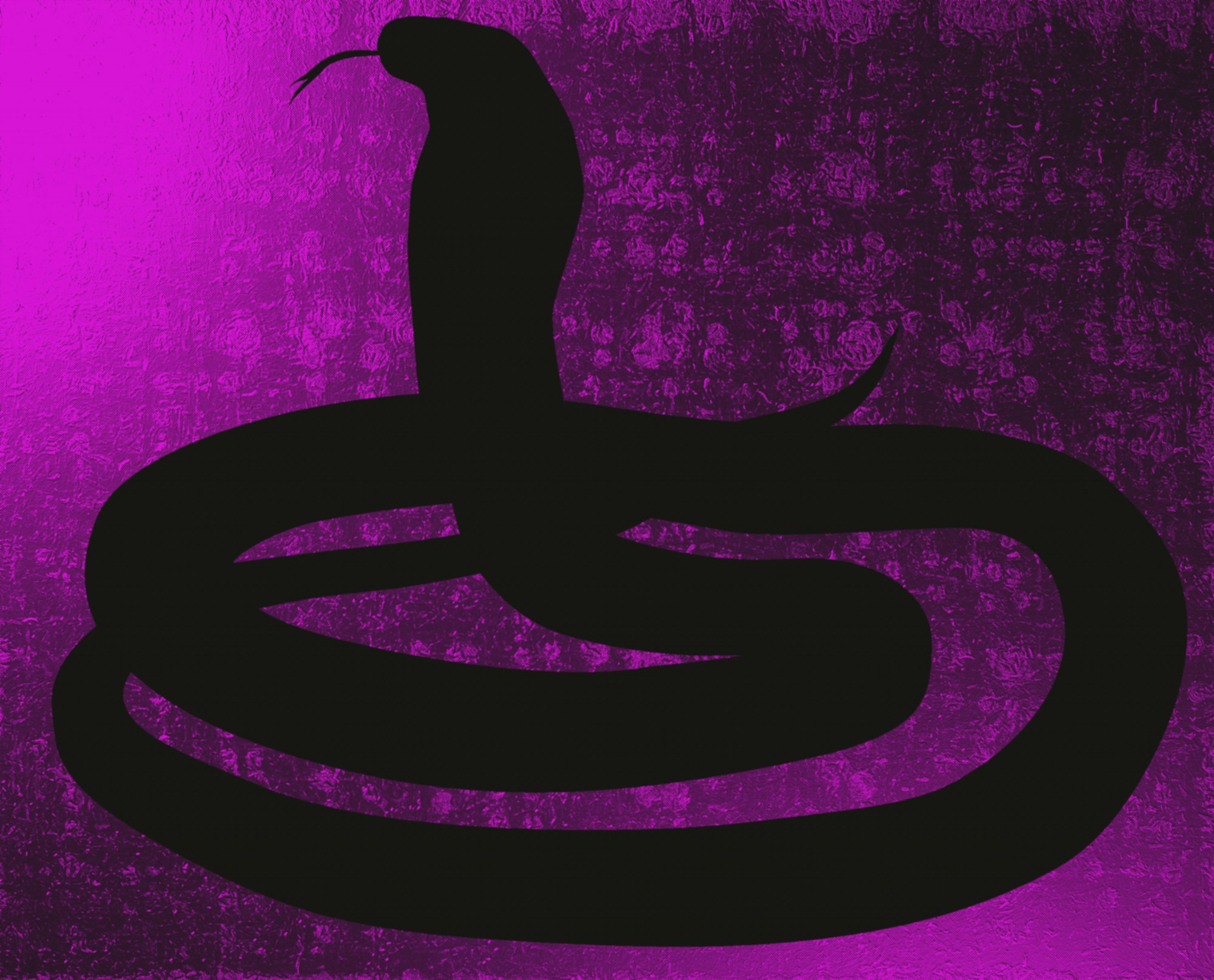 poison snakes background free photo