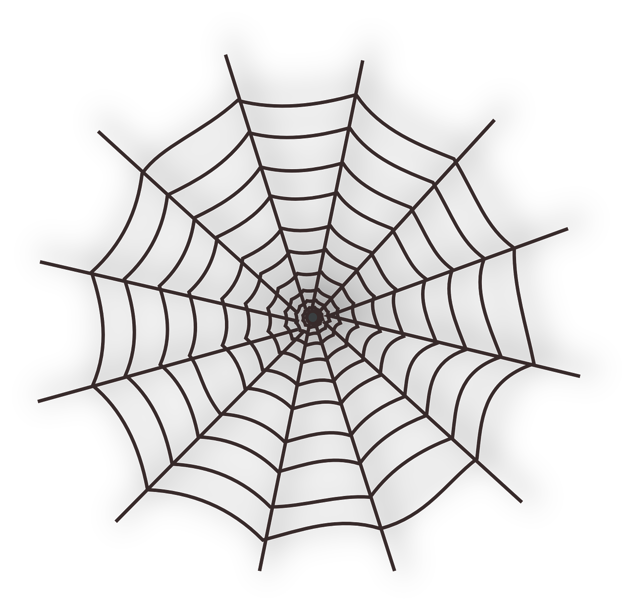 cobweb spiderweb spider's web free photo