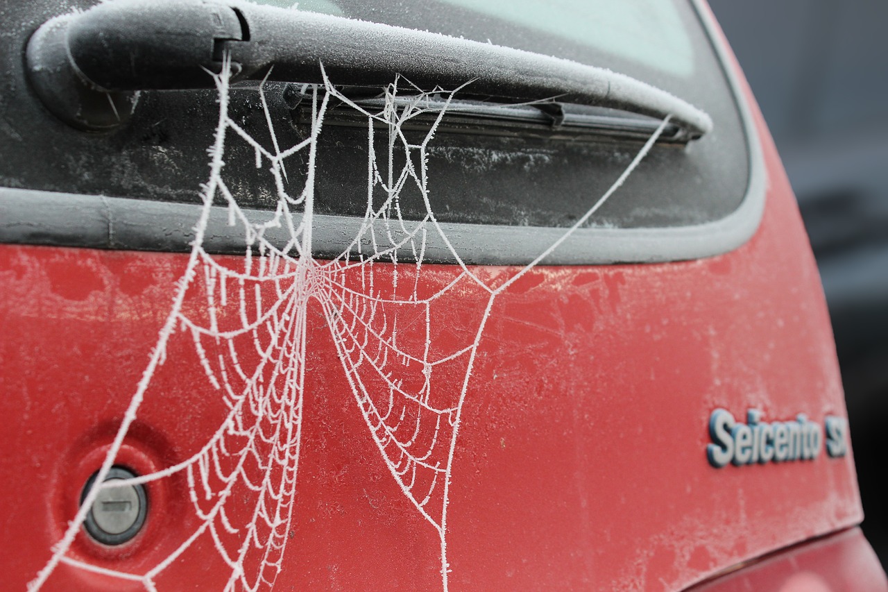 cobweb frost hoarfrost free photo