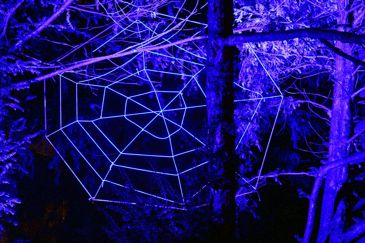 cobweb network westphalia park free photo