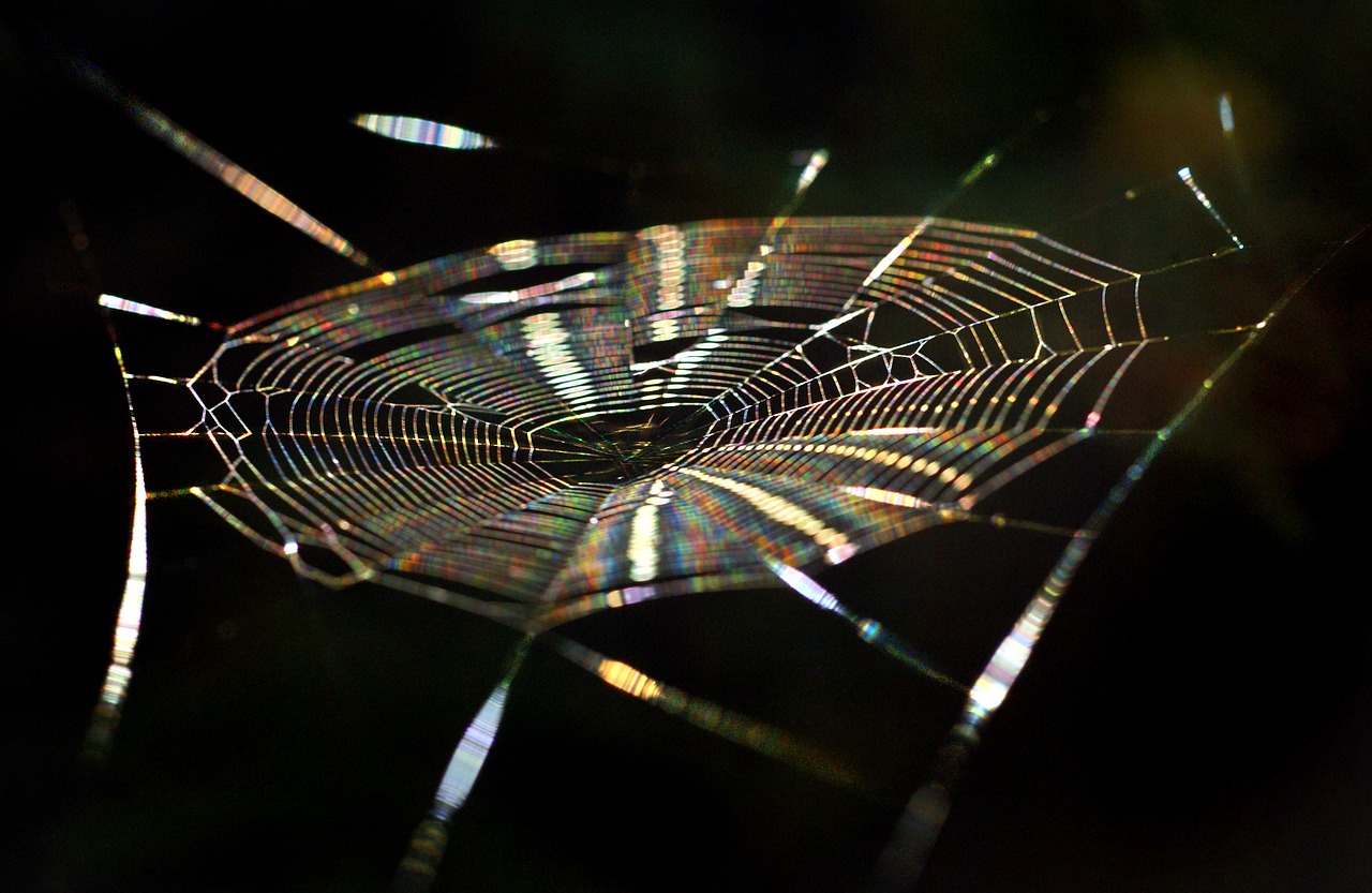 cobweb spider rainbow free photo