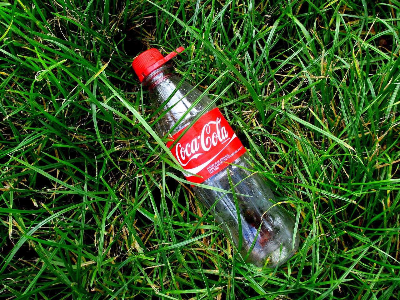 coca cola lemonade bottle free photo
